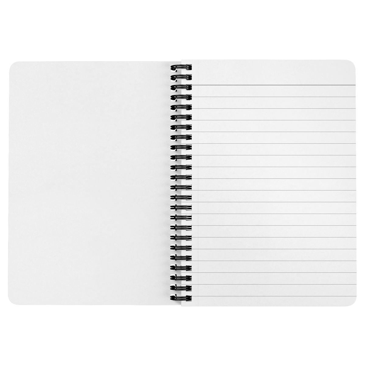 MISS DANI SPIRAL NOTEBOOK